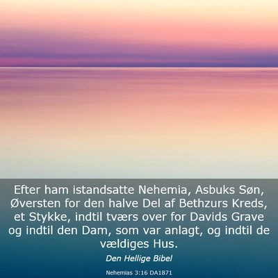 Picture 03 - Nehemias 3:16 DA1871 - Efter ham istandsatte Nehemia, Asbuks Søn, - Bible Verse Picture