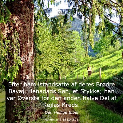 Picture 03 - Nehemias 3:18 DA1871 - Efter ham istandsatte af deres Brødre Bavaj, - Bible Verse Picture