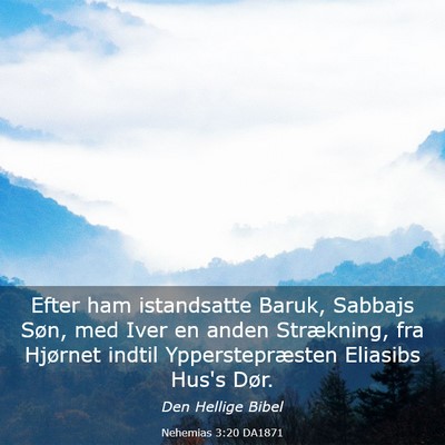 Picture 03 - Nehemias 3:20 DA1871 - Efter ham istandsatte Baruk, Sabbajs Søn, med - Bible Verse Picture