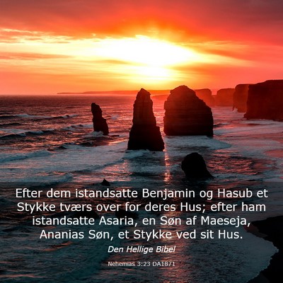 Picture 03 - Nehemias 3:23 DA1871 - Efter dem istandsatte Benjamin og Hasub et Stykke - Bible Verse Picture