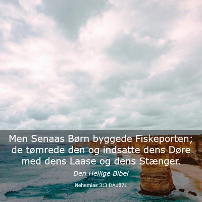 Picture 03 - Nehemias 3:3 DA1871 - Men Senaas Børn byggede Fiskeporten; de tømrede - Bible Verse Picture