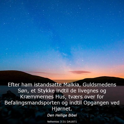 Picture 03 - Nehemias 3:31 DA1871 - Efter ham istandsatte Malkia, Guldsmedens Søn, - Bible Verse Picture