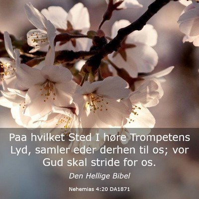 Picture 03 - Nehemias 4:20 DA1871 - Paa hvilket Sted I høre Trompetens Lyd, samler - Bible Verse Picture