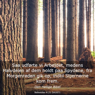 Picture 03 - Nehemias 4:21 DA1871 - Saa udførte vi Arbejdet, medens Halvdelen af dem - Bible Verse Picture