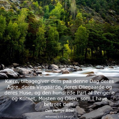 Picture 03 - Nehemias 5:11 DA1871 - Kære, tilbagegiver dem paa denne Dag deres Agre, - Bible Verse Picture