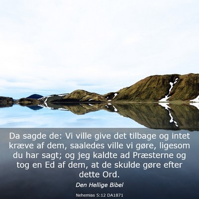 Picture 03 - Nehemias 5:12 DA1871 - Da sagde de: Vi ville give det tilbage og intet - Bible Verse Picture