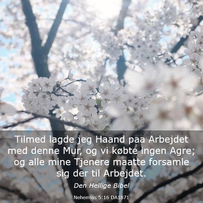 Picture 03 - Nehemias 5:16 DA1871 - Tilmed lagde jeg Haand paa Arbejdet med denne - Bible Verse Picture