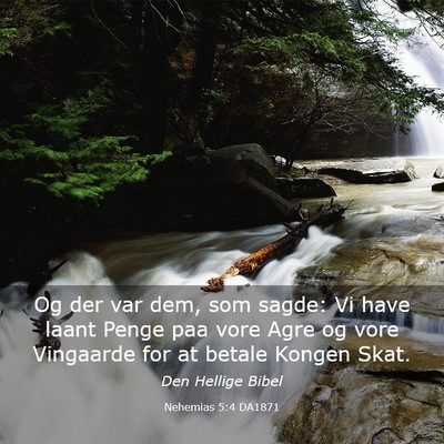 Picture 03 - Nehemias 5:4 DA1871 - Og der var dem, som sagde: Vi have laant Penge - Bible Verse Picture