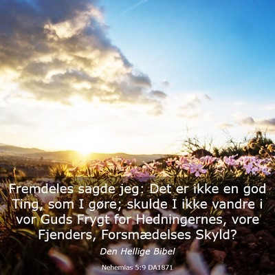 Picture 03 - Nehemias 5:9 DA1871 - Fremdeles sagde jeg: Det er ikke en god Ting, som - Bible Verse Picture
