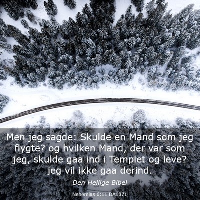 Picture 03 - Nehemias 6:11 DA1871 - Men jeg sagde: Skulde en Mand som jeg flygte? og - Bible Verse Picture
