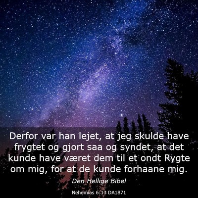 Picture 03 - Nehemias 6:13 DA1871 - Derfor var han lejet, at jeg skulde have frygtet - Bible Verse Picture