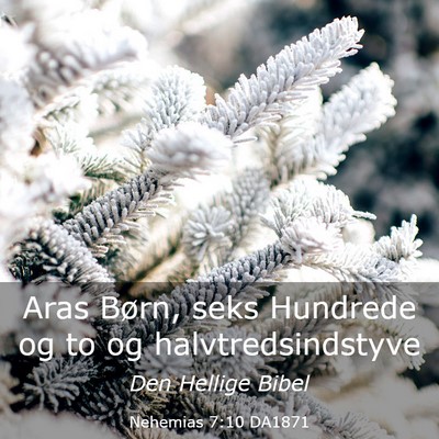 Picture 03 - Nehemias 7:10 DA1871 - Aras Børn, seks Hundrede og to og - Bible Verse Picture