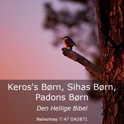 Picture 03 - Nehemias 7:47 DA1871 - Keros's Børn, Sihas Børn, Padons - Bible Verse Picture