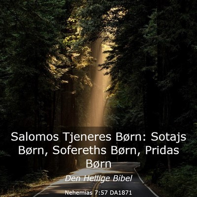 Picture 03 - Nehemias 7:57 DA1871 - Salomos Tjeneres Børn: Sotajs Børn, Sofereths - Bible Verse Picture