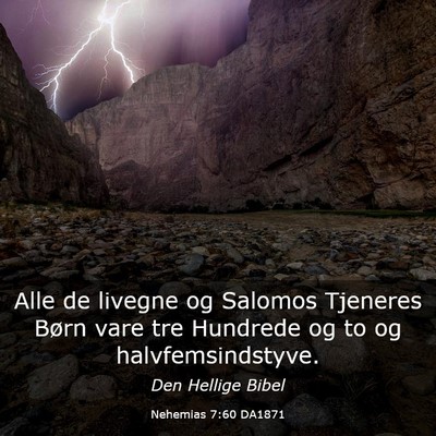 Picture 03 - Nehemias 7:60 DA1871 - Alle de livegne og Salomos Tjeneres Børn vare - Bible Verse Picture