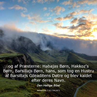 Picture 03 - Nehemias 7:63 DA1871 - og af Præsterne: Habajas Børn, Hakkoz's Børn, - Bible Verse Picture
