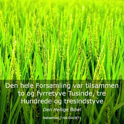 Picture 03 - Nehemias 7:66 DA1871 - Den hele Forsamling var tilsammen to og fyrretyve - Bible Verse Picture
