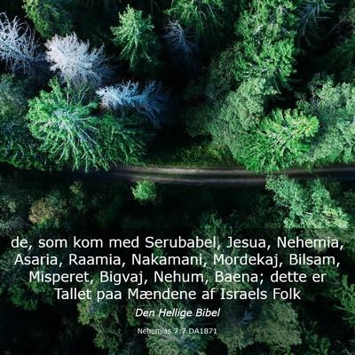 Picture 03 - Nehemias 7:7 DA1871 - de, som kom med Serubabel, Jesua, Nehemia, - Bible Verse Picture
