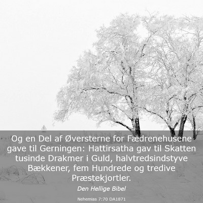 Picture 03 - Nehemias 7:70 DA1871 - Og en Del af Øversterne for Fædrenehusene gave - Bible Verse Picture