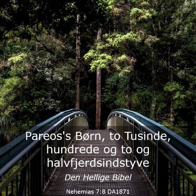 Picture 03 - Nehemias 7:8 DA1871 - Pareos's Børn, to Tusinde, hundrede og to og - Bible Verse Picture
