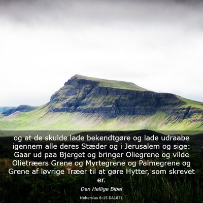 Picture 03 - Nehemias 8:15 DA1871 - og at de skulde lade bekendtgøre og lade udraabe - Bible Verse Picture