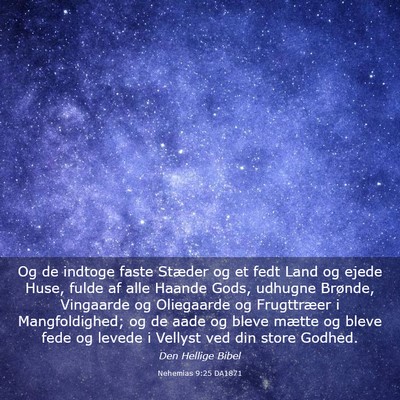 Picture 03 - Nehemias 9:25 DA1871 - Og de indtoge faste Stæder og et fedt Land og - Bible Verse Picture