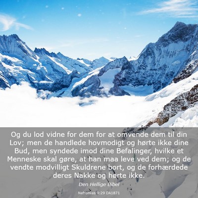 Picture 03 - Nehemias 9:29 DA1871 - Og du lod vidne for dem for at omvende dem til - Bible Verse Picture