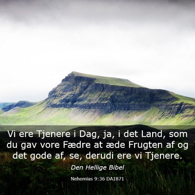 Picture 03 - Nehemias 9:36 DA1871 - Vi ere Tjenere i Dag, ja, i det Land, som du gav - Bible Verse Picture