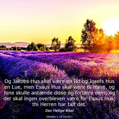 Picture 03 - Obadias 1:18 DA1871 - Og Jakobs Hus skal være en Ild og Josefs Hus en - Bible Verse Picture