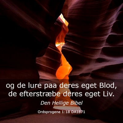 Picture 03 - Ordsprogene 1:18 DA1871 - og de lure paa deres eget Blod, de efterstræbe - Bible Verse Picture