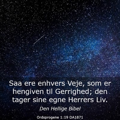 Picture 03 - Ordsprogene 1:19 DA1871 - Saa ere enhvers Veje, som er hengiven til - Bible Verse Picture