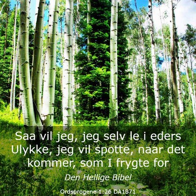 Picture 03 - Ordsprogene 1:26 DA1871 - Saa vil jeg, jeg selv le i eders Ulykke, jeg vil - Bible Verse Picture