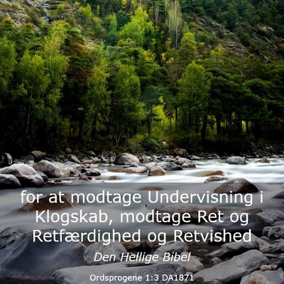 Picture 03 - Ordsprogene 1:3 DA1871 - for at modtage Undervisning i Klogskab, modtage - Bible Verse Picture