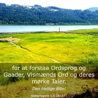 Picture 03 - Ordsprogene 1:6 DA1871 - for at forstaa Ordsprog og Gaader, Vismænds Ord - Bible Verse Picture