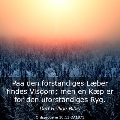 Picture 03 - Ordsprogene 10:13 DA1871 - Paa den forstandiges Læber findes Visdom; men en - Bible Verse Picture