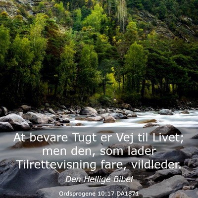 Picture 03 - Ordsprogene 10:17 DA1871 - At bevare Tugt er Vej til Livet; men den, som - Bible Verse Picture