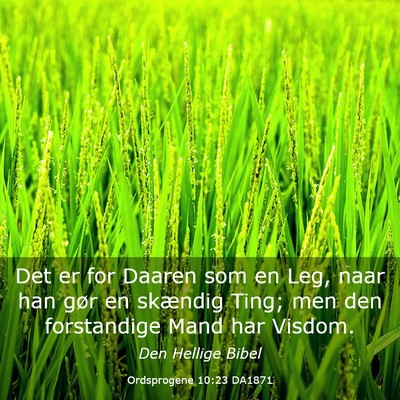 Picture 03 - Ordsprogene 10:23 DA1871 - Det er for Daaren som en Leg, naar han gør en - Bible Verse Picture