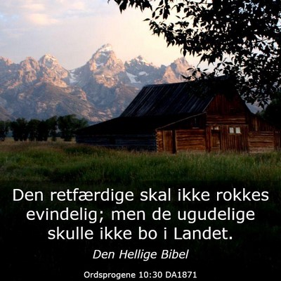 Picture 03 - Ordsprogene 10:30 DA1871 - Den retfærdige skal ikke rokkes evindelig; men - Bible Verse Picture