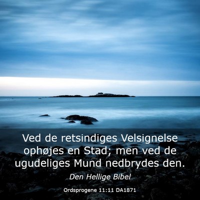 Picture 03 - Ordsprogene 11:11 DA1871 - Ved de retsindiges Velsignelse ophøjes en Stad; - Bible Verse Picture