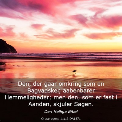 Picture 03 - Ordsprogene 11:13 DA1871 - Den, der gaar omkring som en Bagvadsker, - Bible Verse Picture