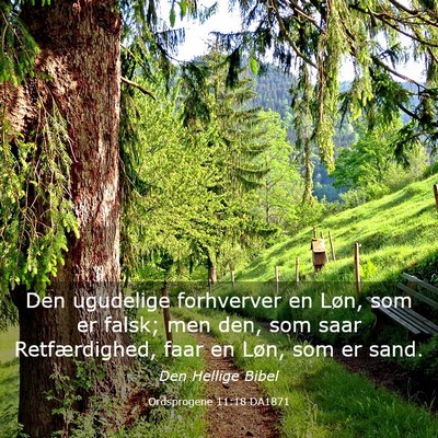 Picture 03 - Ordsprogene 11:18 DA1871 - Den ugudelige forhverver en Løn, som er falsk; - Bible Verse Picture