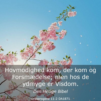 Picture 03 - Ordsprogene 11:2 DA1871 - Hovmodighed kom, der kom og Forsmædelse; men hos - Bible Verse Picture