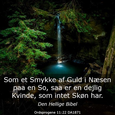 Picture 03 - Ordsprogene 11:22 DA1871 - Som et Smykke af Guld i Næsen paa en So, saa er - Bible Verse Picture