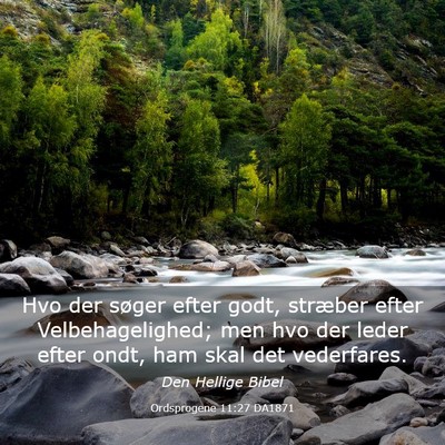 Picture 03 - Ordsprogene 11:27 DA1871 - Hvo der søger efter godt, stræber efter - Bible Verse Picture