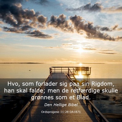 Picture 03 - Ordsprogene 11:28 DA1871 - Hvo, som forlader sig paa sin Rigdom, han skal - Bible Verse Picture