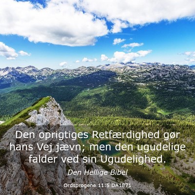 Picture 03 - Ordsprogene 11:5 DA1871 - Den oprigtiges Retfærdighed gør hans Vej jævn; - Bible Verse Picture