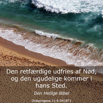 Picture 03 - Ordsprogene 11:8 DA1871 - Den retfærdige udfries af Nød, og den ugudelige - Bible Verse Picture