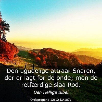 Picture 03 - Ordsprogene 12:12 DA1871 - Den ugudelige attraar Snaren, der er lagt for de - Bible Verse Picture