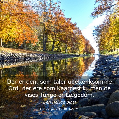 Picture 03 - Ordsprogene 12:18 DA1871 - Der er den, som taler ubetænksomme Ord, der ere - Bible Verse Picture