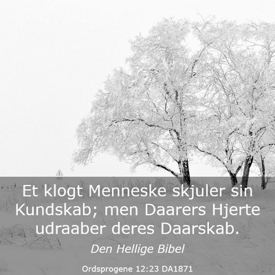 Picture 03 - Ordsprogene 12:23 DA1871 - Et klogt Menneske skjuler sin Kundskab; men - Bible Verse Picture